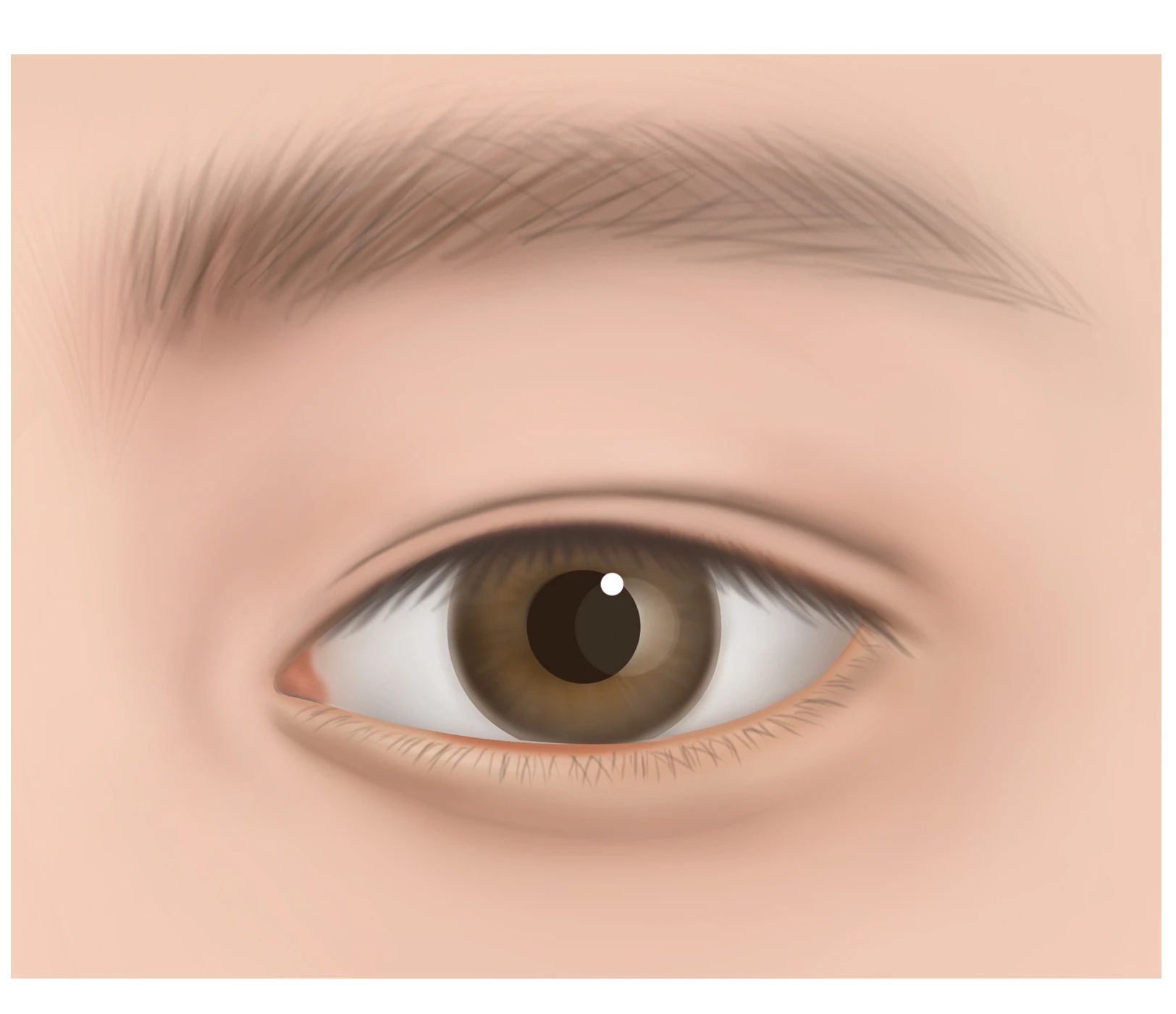 イン・アウトライン